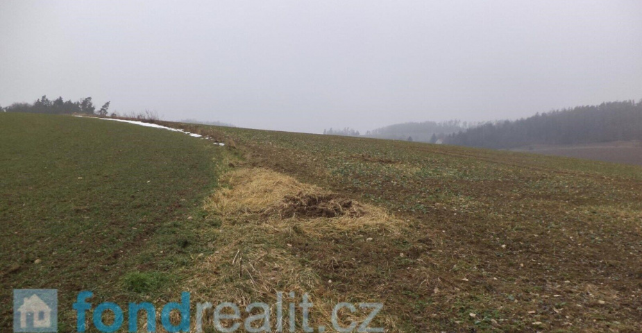 Prodej pozemků Bořkovice, obec Zvěstov, ostatní