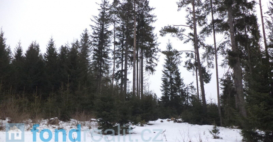 Prodej pozemků Blato u Hůrek