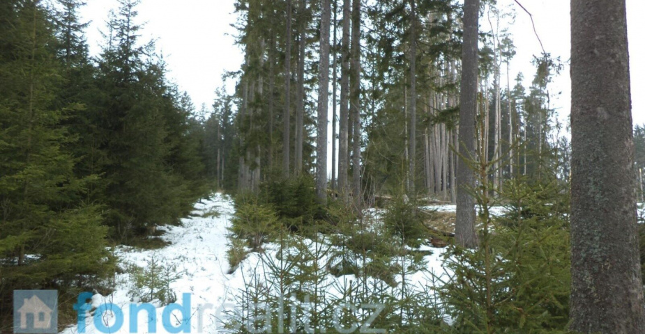 Prodej pozemků Blato u Hůrek