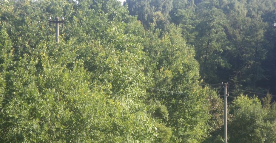 Pozemek Dětmarovice