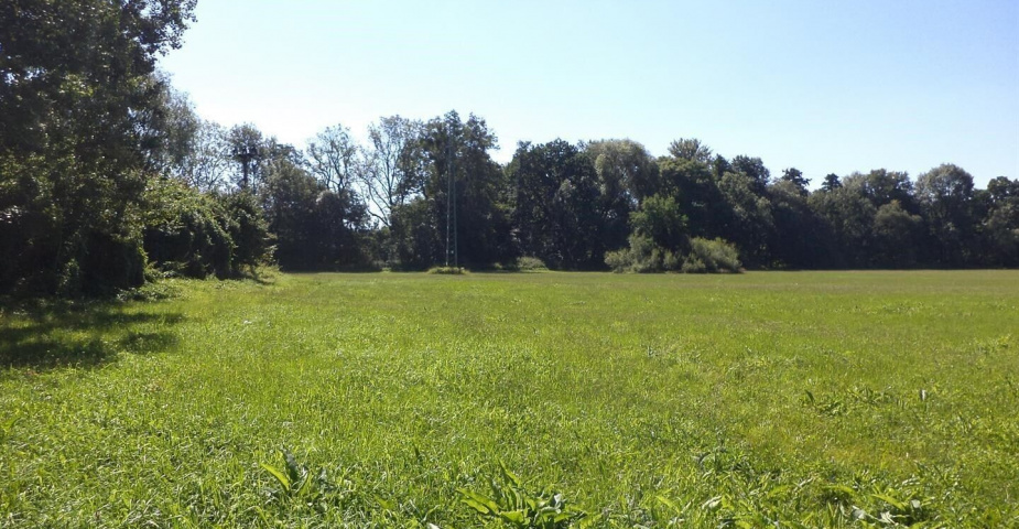 Podílové pozemky Studénka nad Odrou