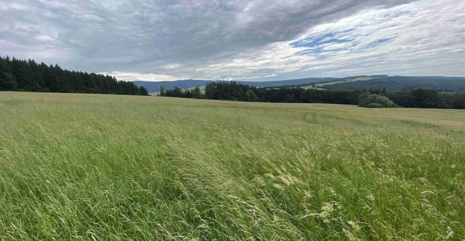 Prodej pozemku Korytná