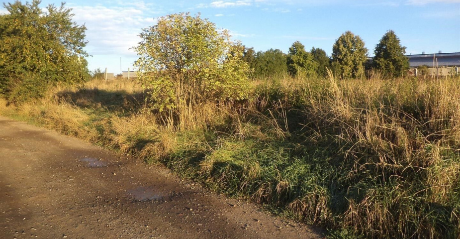 Prodej pozemků Kněževes u Rakovníka