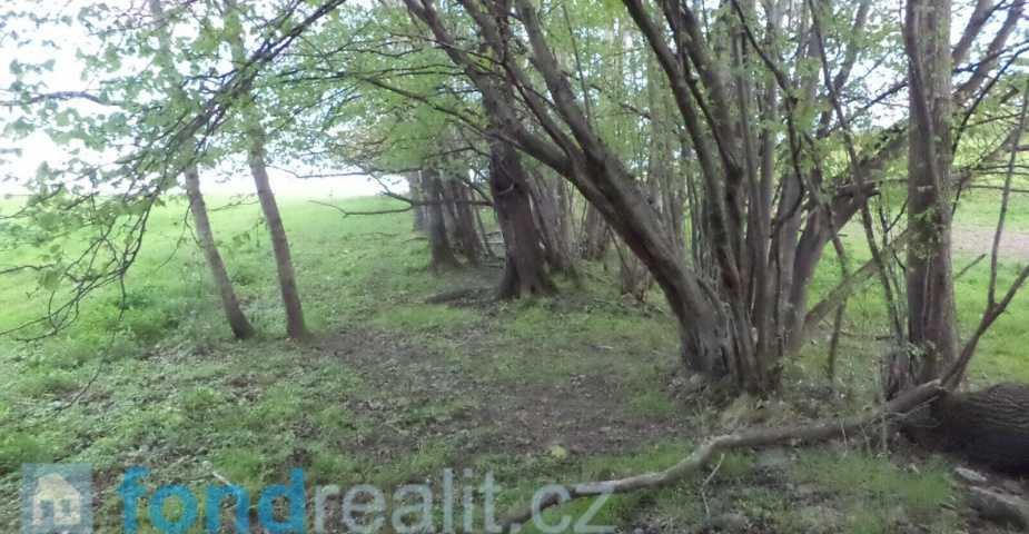 Prodej pozemku Vlčice u Javorníka, obec Vlčice, 1599