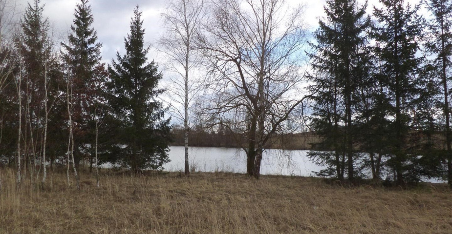 prodej pozemku k.ú. Úherce u Nýřan