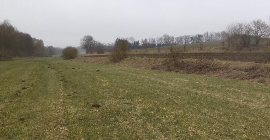 Prodej pozemku Dalkovice, obec Trhový Štěpánov