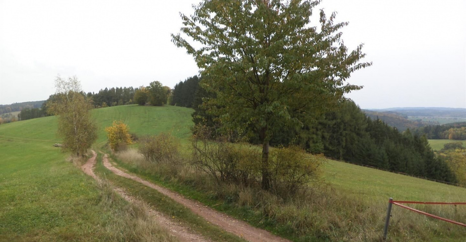 Prodej pozemku Uhlíře, obec Lázně Bělohrad