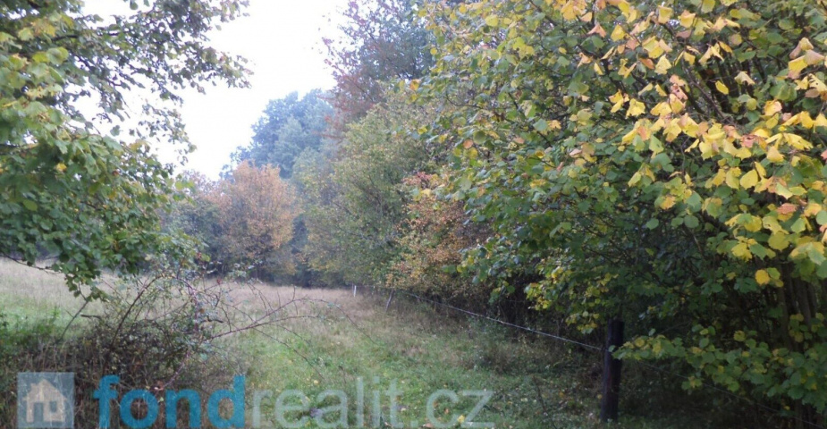 prodej pozemku Málkov u Přimdy