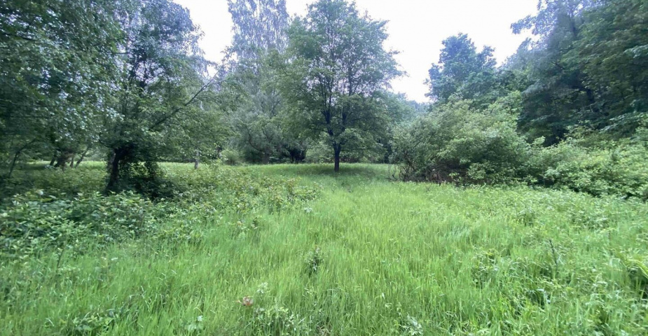 prodej pozemku k.ú. Divišovice u Děpoltic