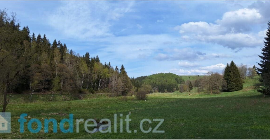 prodej pozemku k.ú Moldava