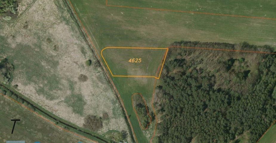 Prodej pozemku Žíšov u Veselí nad Lužnicí