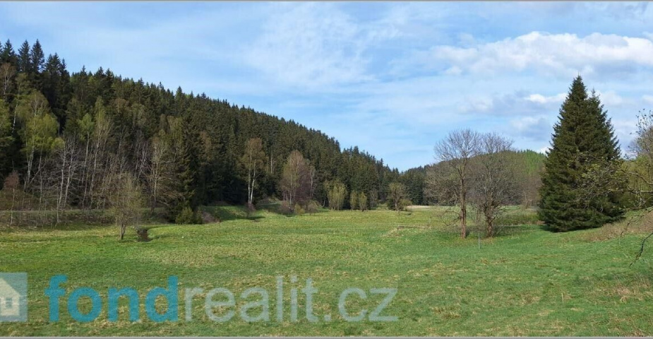 prodej pozemku k.ú Moldava