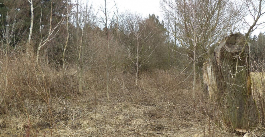 Prodej pozemků Jedlová u Poličky, obec Jedlová, podílové spoluvlastnictví 1/3