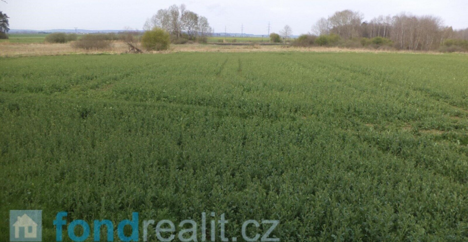 Prodej pozemku Žíšov u Veselí nad Lužnicí