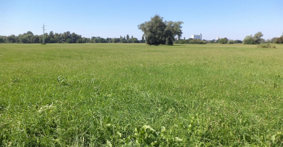 Podílové pozemky Studénka nad Odrou