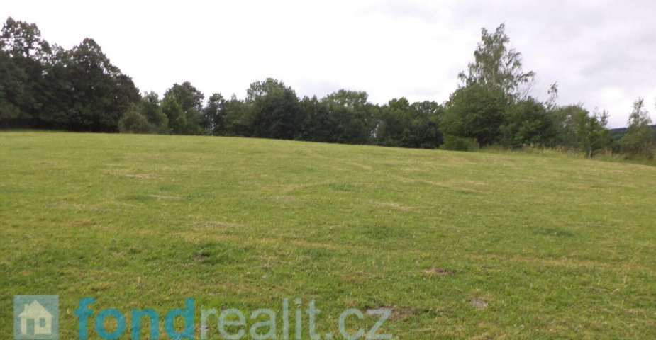 Prodej pozemku Vlčice u Javorníka, obec Vlčice