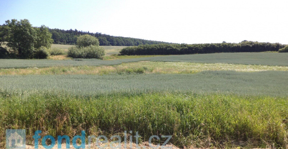 DRAŽBA pozemků Držkrajov