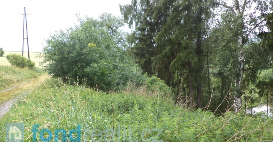 DRAŽBA  pozemku Třebařov