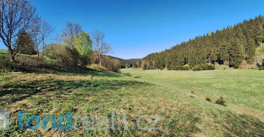 prodej pozemku k.ú Moldava