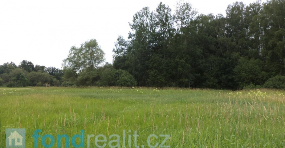 prodej pozemku k.ú. Stará Lípa