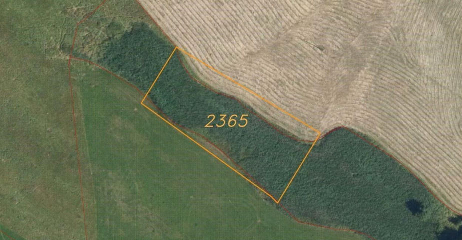 Prodej pozemku Vižňov