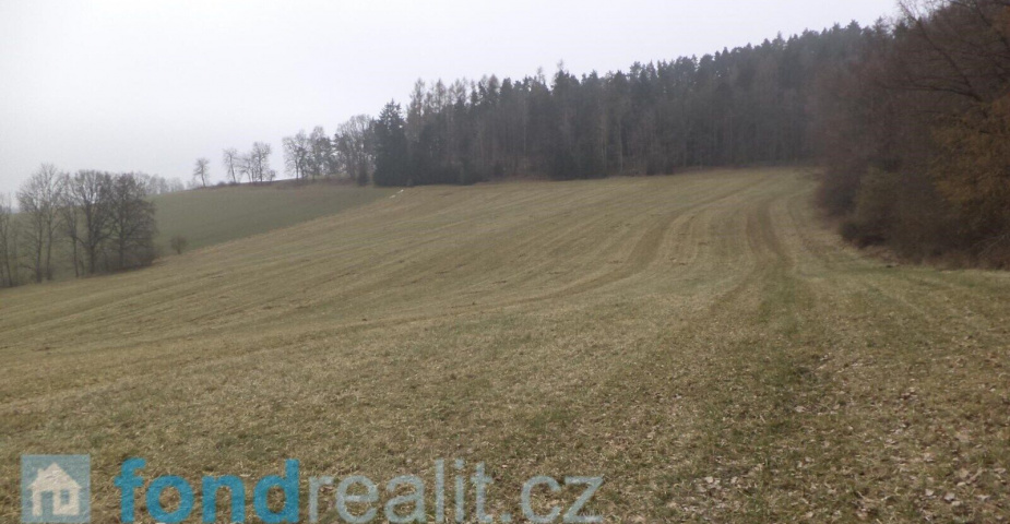 Prodej pozemků Bořkovice, obec Zvěstov, ostatní