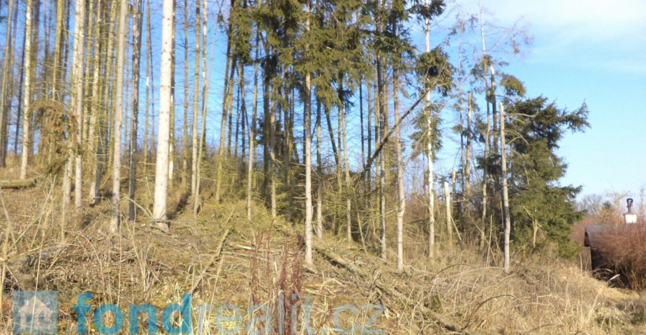 Prodej pozemků Čelkovice