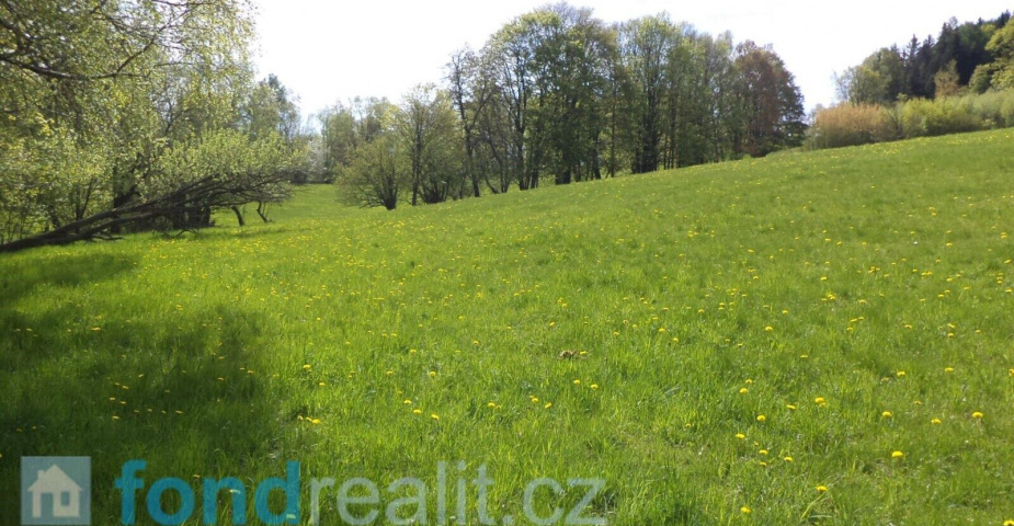Prodej pozemku Dolní Heřmanice v Čechách, obec Horní Heřmanice