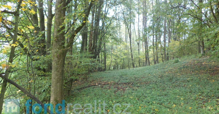 prodej pozemku Málkov u Přimdy