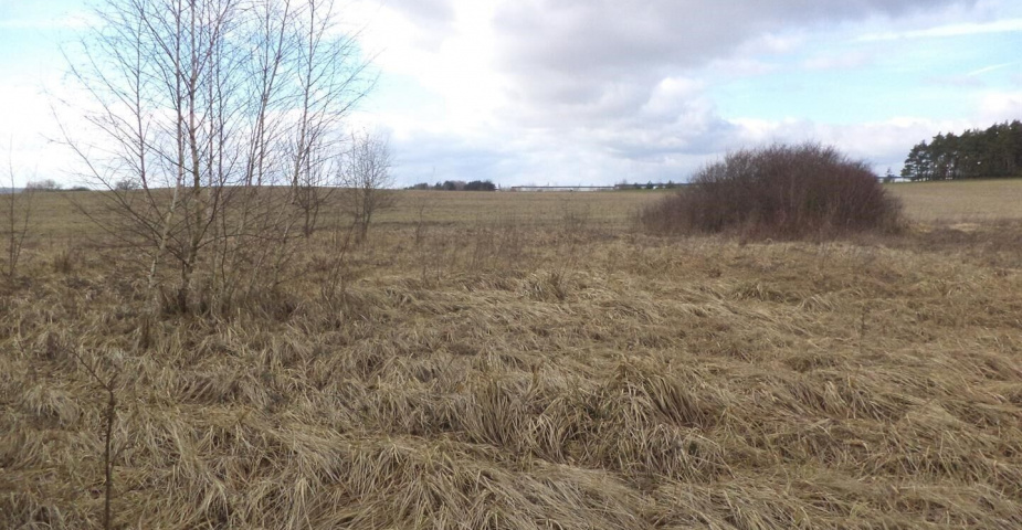 prodej pozemku k.ú. Úherce u Nýřan