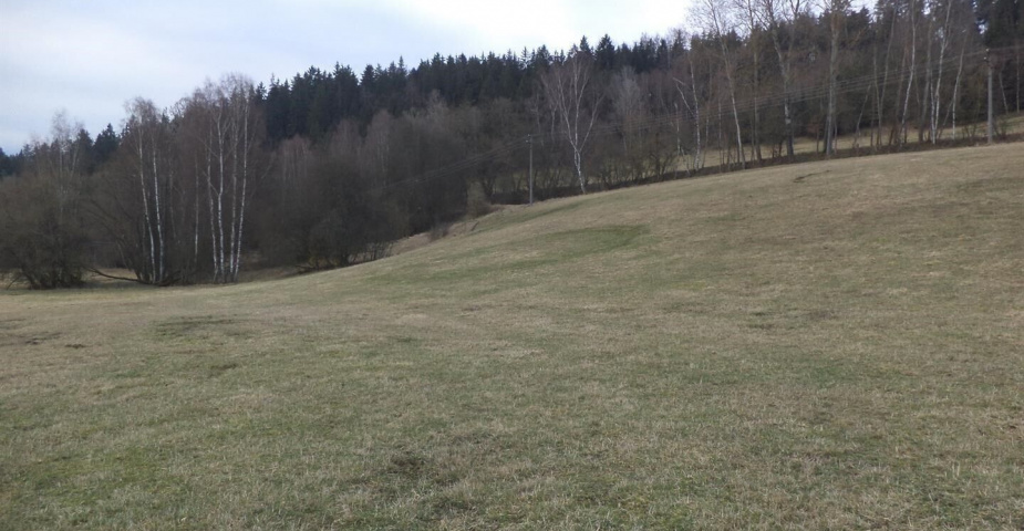 prodej pozemku k.ú Čichořice