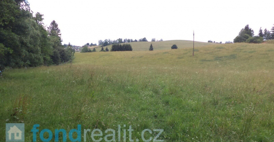 Prodej pozemku Prostřední Staré Buky