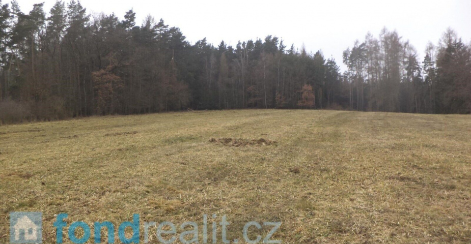 Prodej pozemků Bořkovice, obec Zvěstov, ostatní