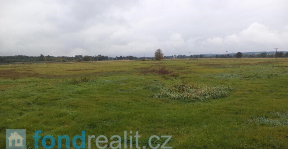 Prodej pozemku Plchovice, podílové spoluvlastnictví 1/2