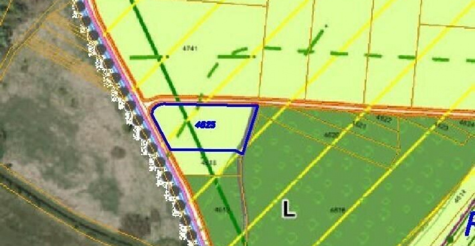 Prodej pozemku Žíšov u Veselí nad Lužnicí